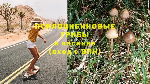 гашик Балахна