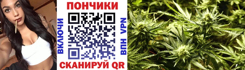 Бошки Шишки семена  что такое наркотик  Берёзовский 